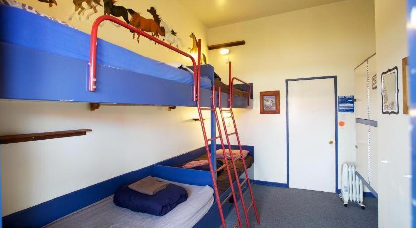 Stables Lodge Backpackers Napier Exteriér fotografie