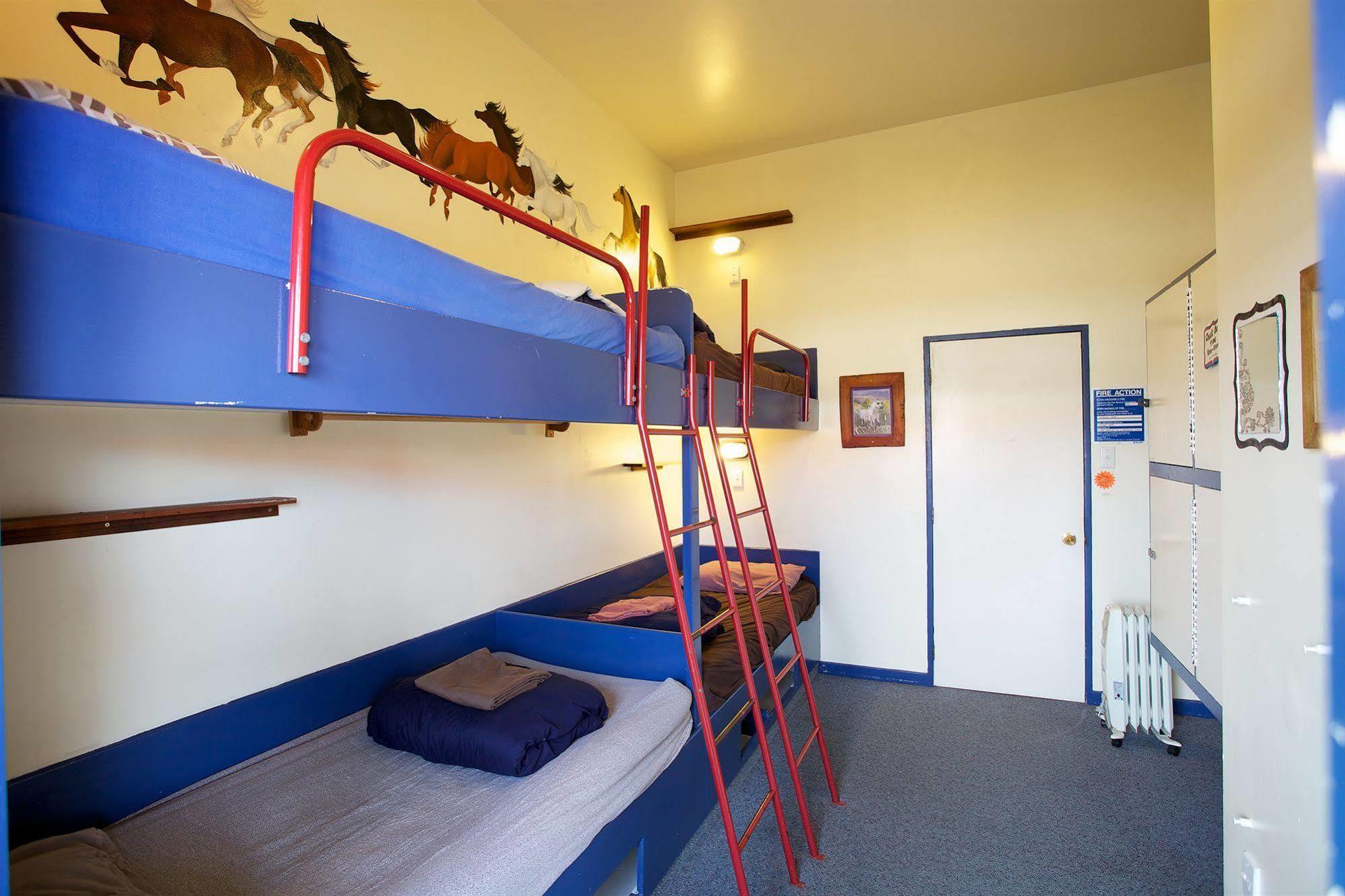 Stables Lodge Backpackers Napier Exteriér fotografie